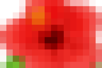 ​ BÉ VUI TẾT ĐÓN XUÂN ​